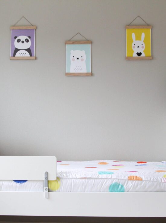 Clean Colorful Toddler Girl Room